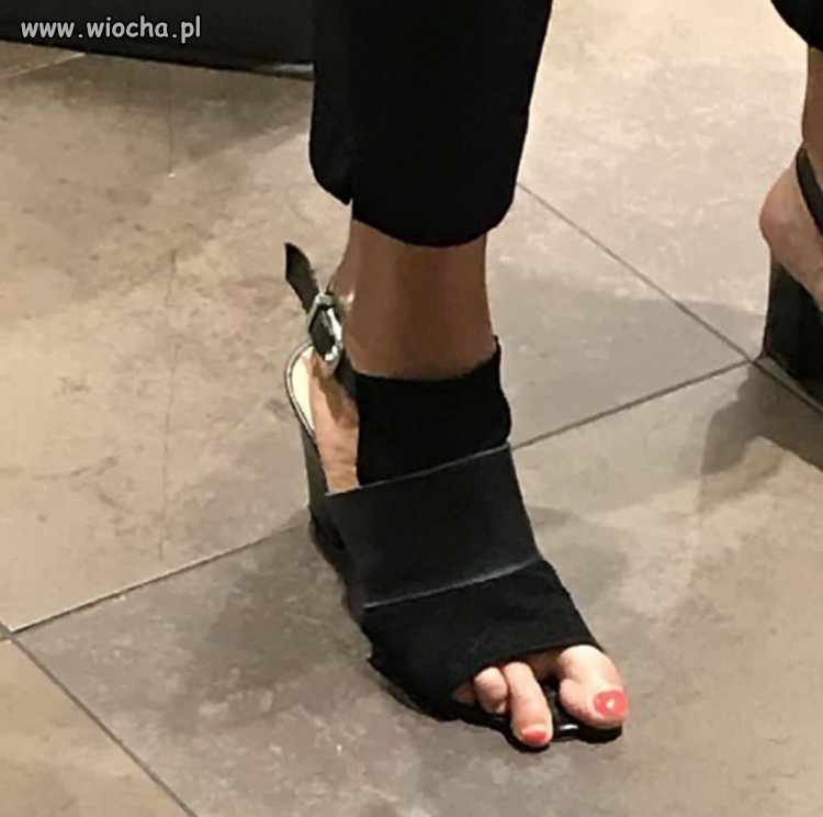 Francja elegancja
