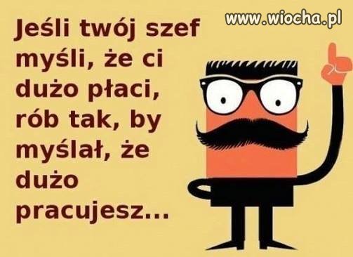 Na przyszły rok