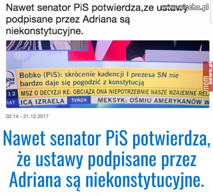 Jedna jaskółka 