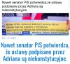 Jedna jaskółka 