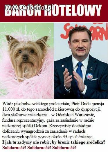 Pis doszło do władzy i ucichły wszystkie