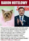 Pis doszło do władzy i ucichły wszystkie