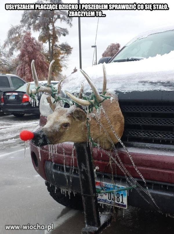 Biedny Rudolf...