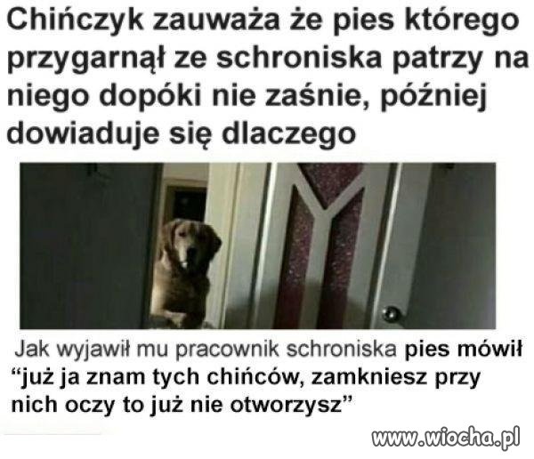 Czujność przede wszystkim