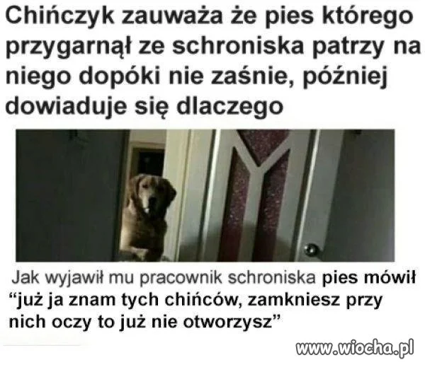 Czujność przede wszystkim