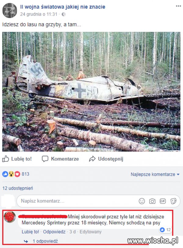 Niemcy schodzą na psy...