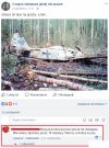 Niemcy schodzą na psy...