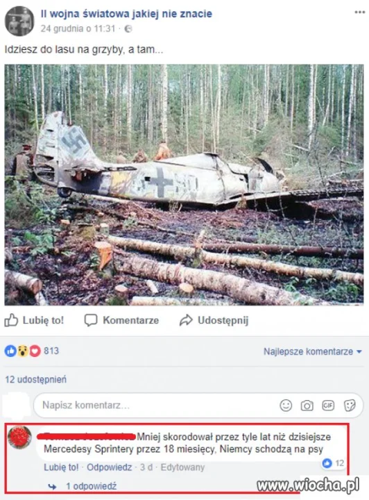Niemcy schodzą na psy...