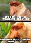 Banderowiec jeden!
