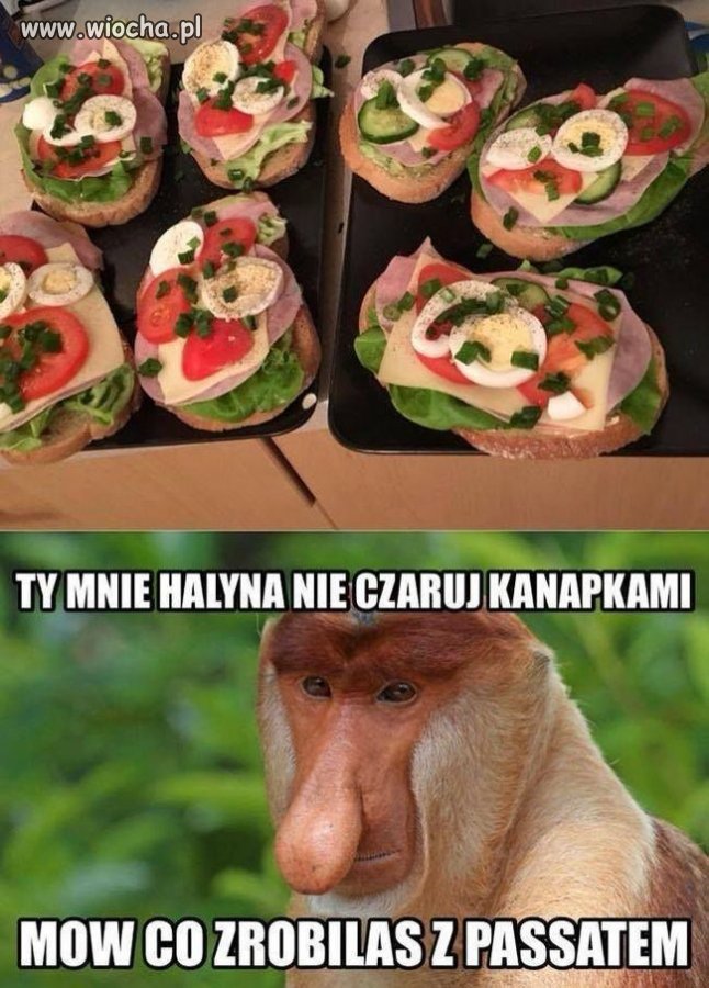 Gadaj