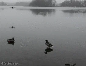 Lądowanie ze ślizgiem