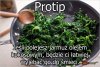 Proste
