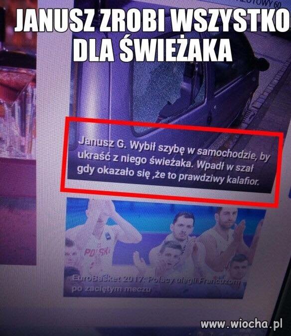 Zdelegalizować Świeżaki
