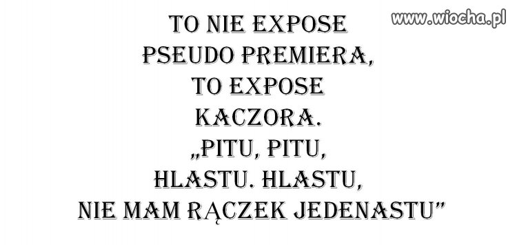 Kaczorowe decyzje