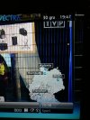Znajomość geografii TVP powala