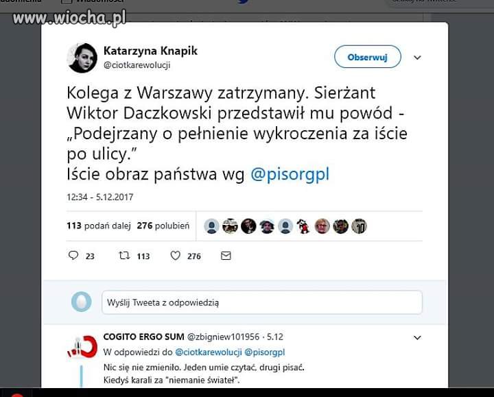 A pies był