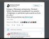 A pies był