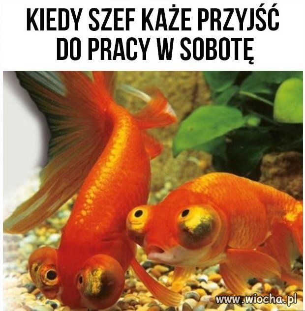 I właśnie wtedy
