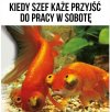I właśnie wtedy