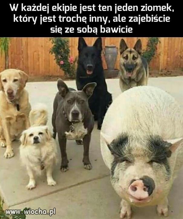 Bo liczy się dobra zabawa