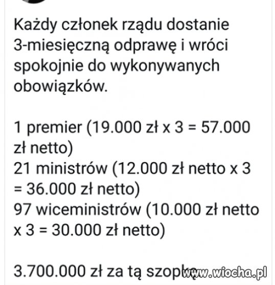 A przyj*bali się do ośmiorniczek...fakt nie było 