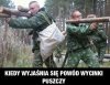 Powód wycinki