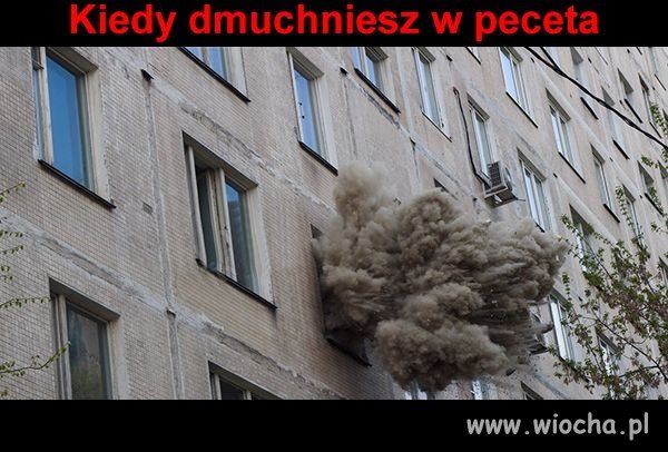 Zawsze