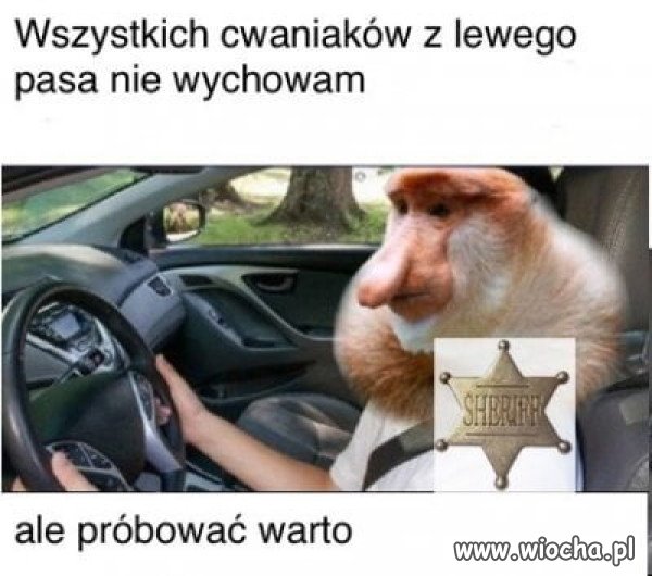 Szeryf 