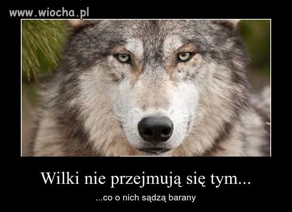 Dobre motto