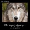 Dobre motto