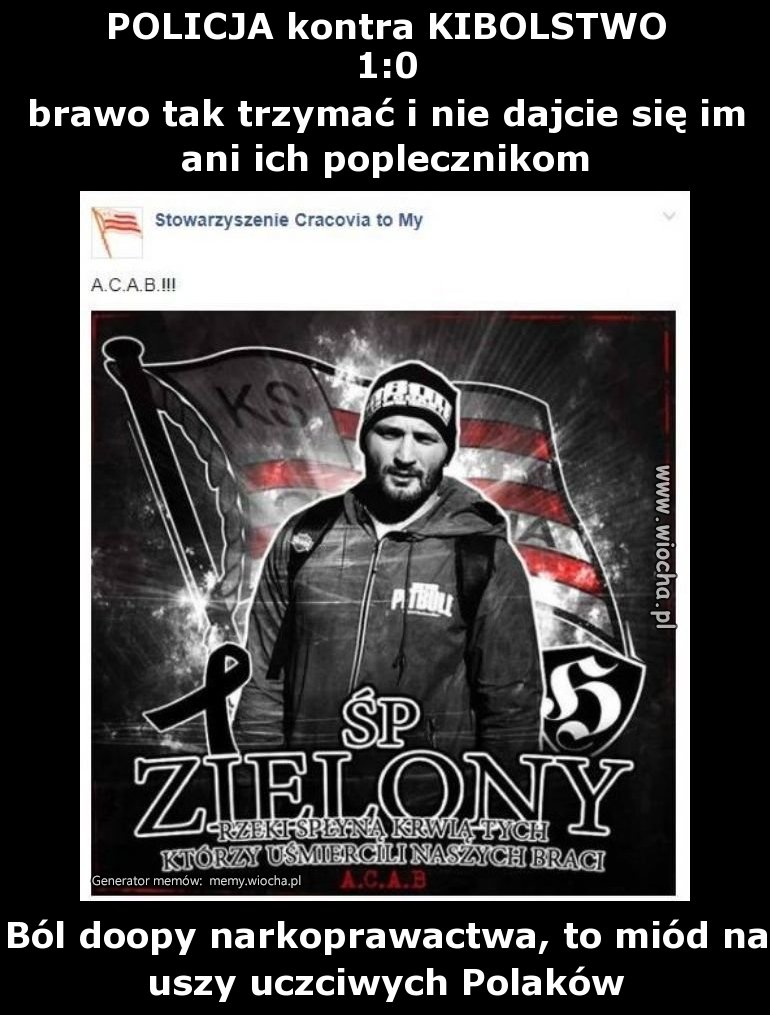 POLICJA kontra KIBOLSTWO