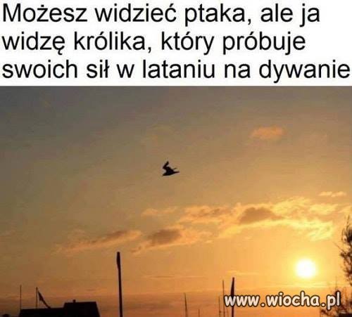 Dzisiejsza polityka