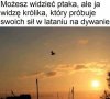 Dzisiejsza polityka