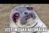 Laski takie są