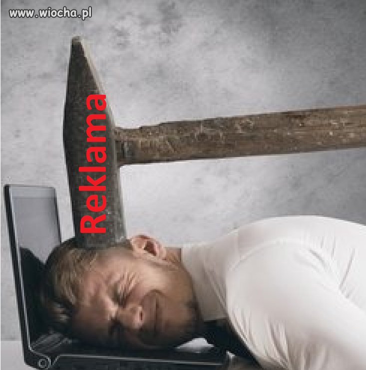 Kiedy oni wreszcie zrozumieją 