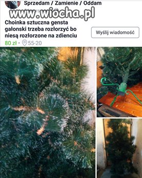 Sprzedam Choinkę