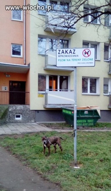 Szczyt wiochy 