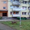 Szczyt wiochy 