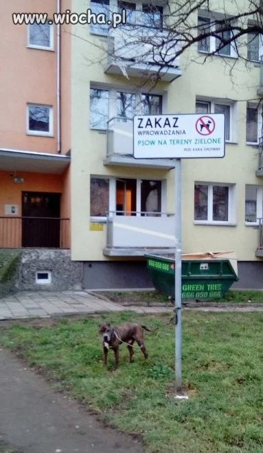 Szczyt wiochy 