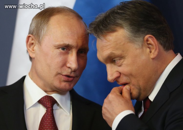 A Jarkowi powiedz, że zawetujesz 