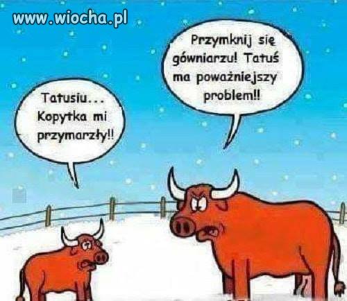 Typowe przymrozki
