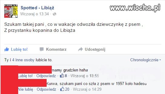 Spotted - Libiąż