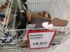 Baleriny dla Grażyny