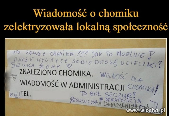 Chomik