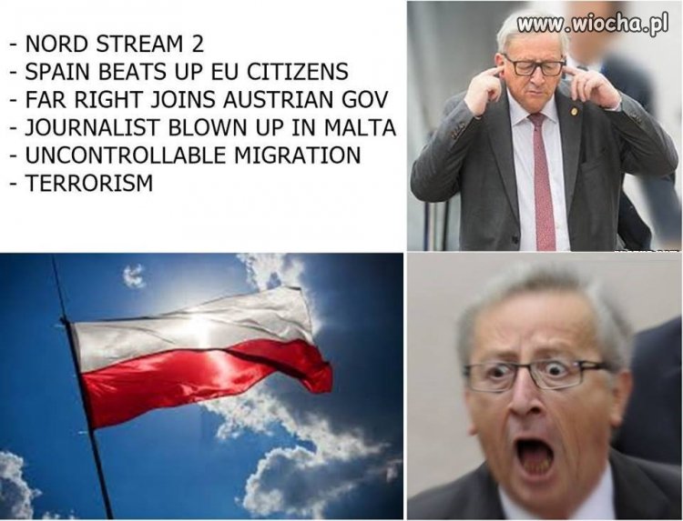 Tak to widzę. 