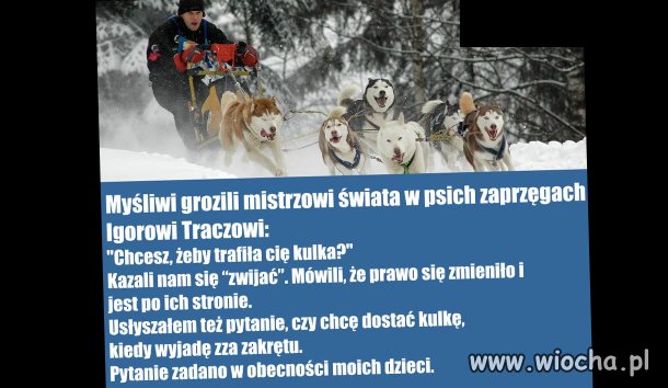 Witajcie w Rzeczpospolitej Myśliwskiej - państwie PIS
