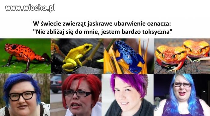 Ja wiedziałem, żeby się do nich nie zbliżać
