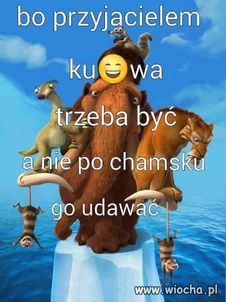 Dzień Dobry