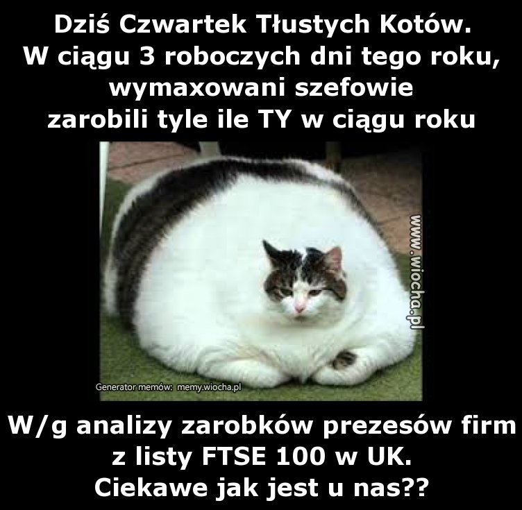Dziś Czwartek Tłustych Kotów.