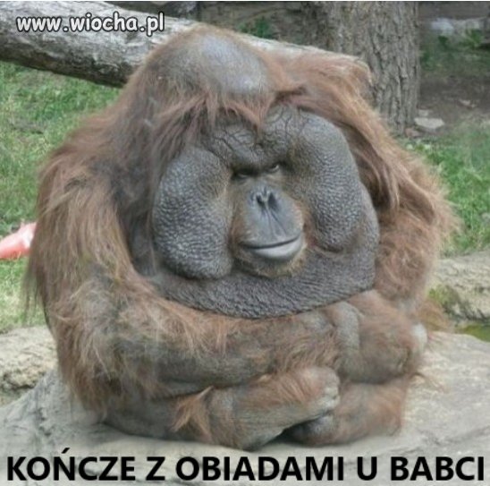 OBIAD U BABCI